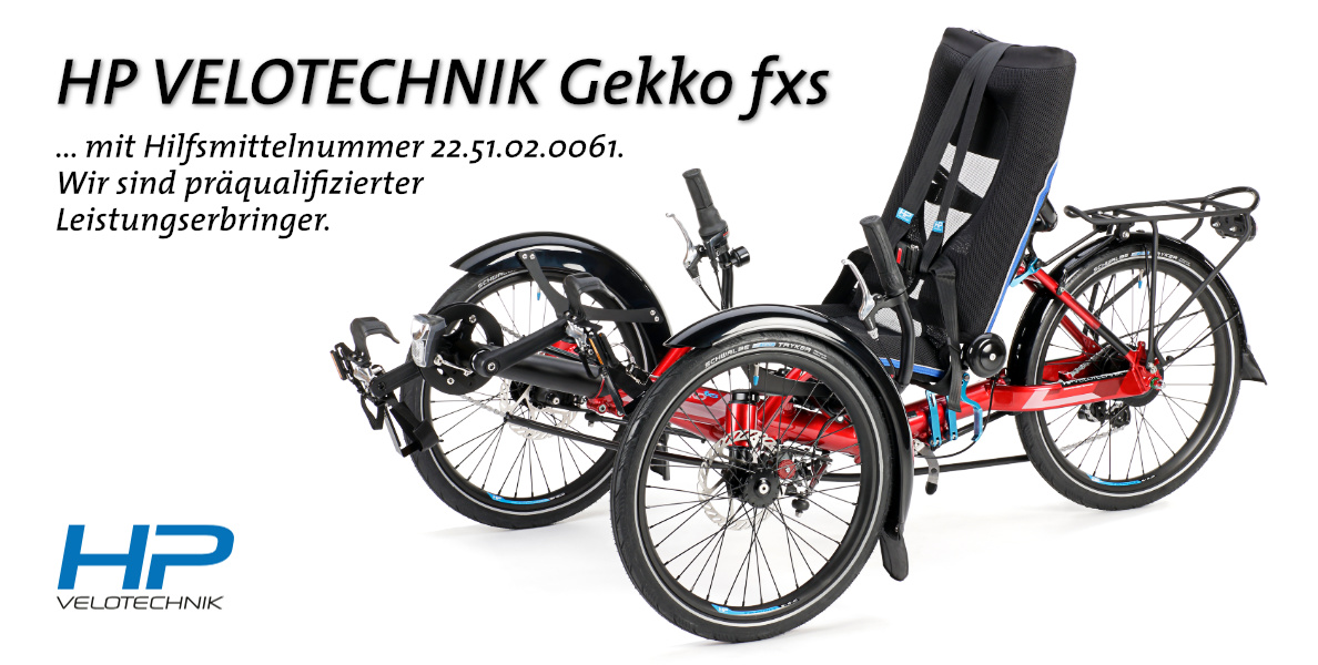 HP Velotechnik Gekko fxs